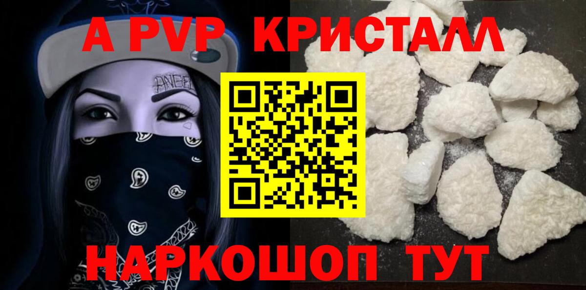 A PVP СК КРИС Обнинск