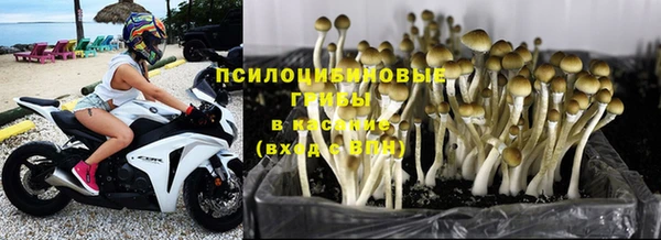 мет Алексеевка