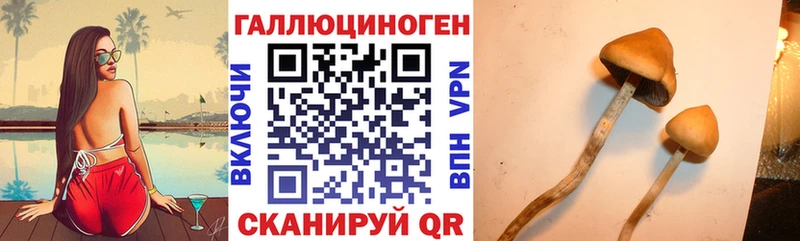 Псилоцибиновые грибы ЛСД  Обнинск 